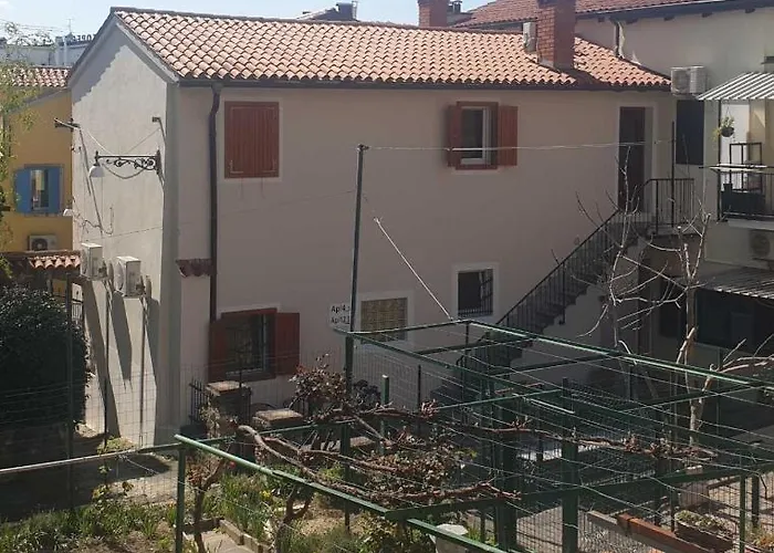 Museum アパート コペル